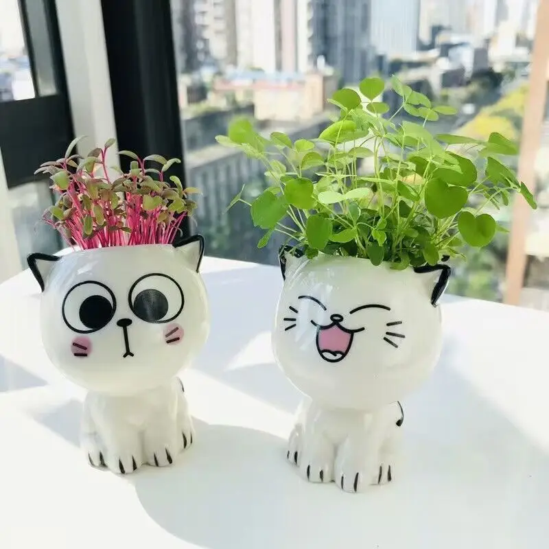 1 adet seramik saksı Mini kedi karikatür sevimli saksı bitki masaüstü kedi saksı DIY masa süslemeleri bilim eğitim okul hediyeler