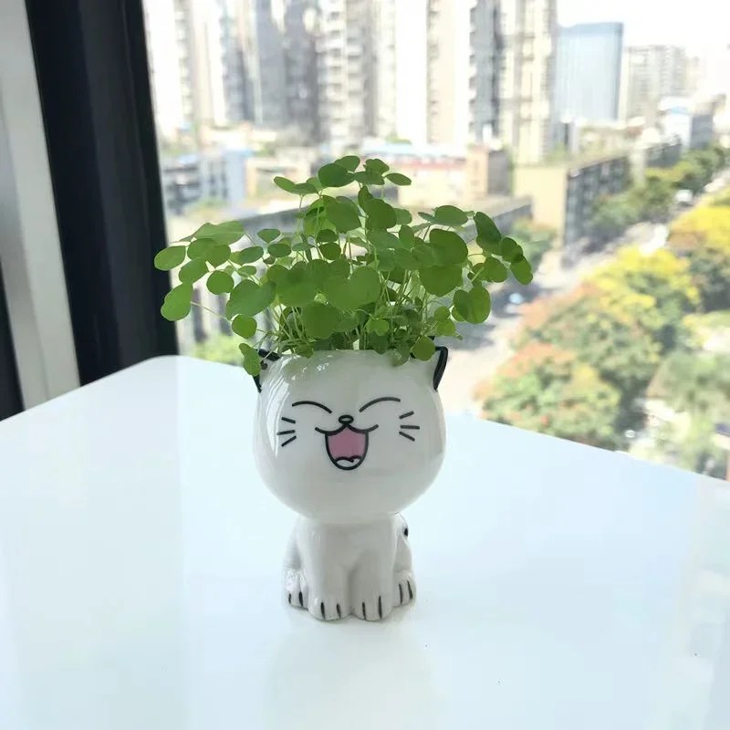 1 adet seramik saksı Mini kedi karikatür sevimli saksı bitki masaüstü kedi saksı DIY masa süslemeleri bilim eğitim okul hediyeler - Görsel 6
