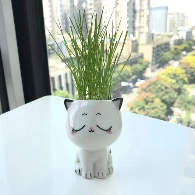 1 adet seramik saksı Mini kedi karikatür sevimli saksı bitki masaüstü kedi saksı DIY masa süslemeleri bilim eğitim okul hediyeler - Görsel 10