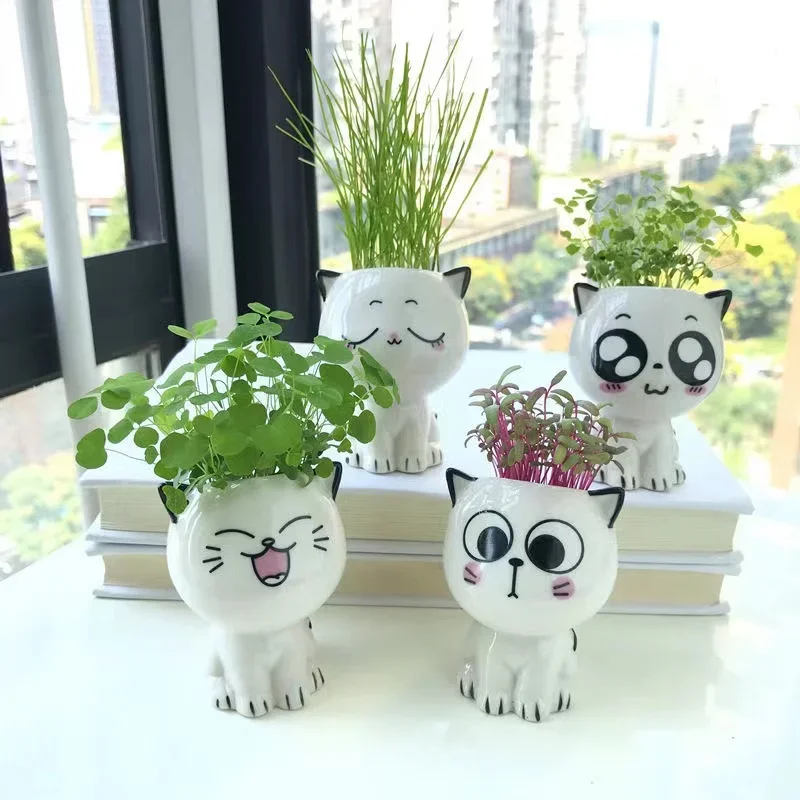 1 adet seramik saksı Mini kedi karikatür sevimli saksı bitki masaüstü kedi saksı DIY masa süslemeleri bilim eğitim okul hediyeler