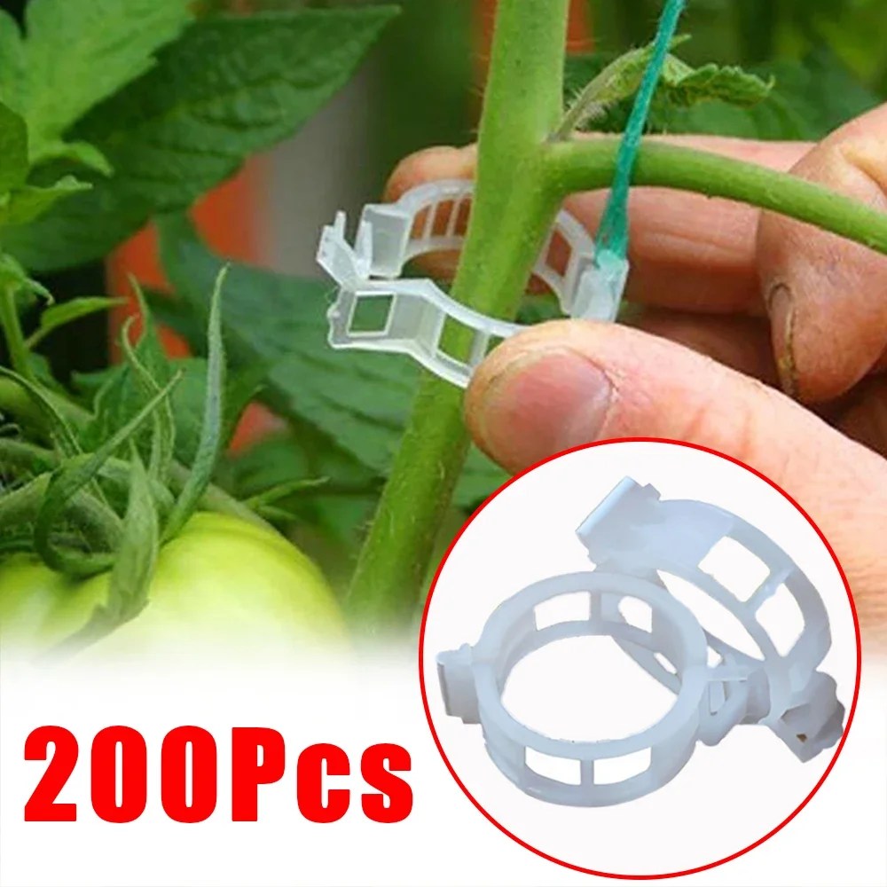 150/50 adet plastik bitki destek klipleri kullanımlık bitki asma koruma aşılama sabitleme aracı sebze domates bahçe malzemeleri için - Görsel 1