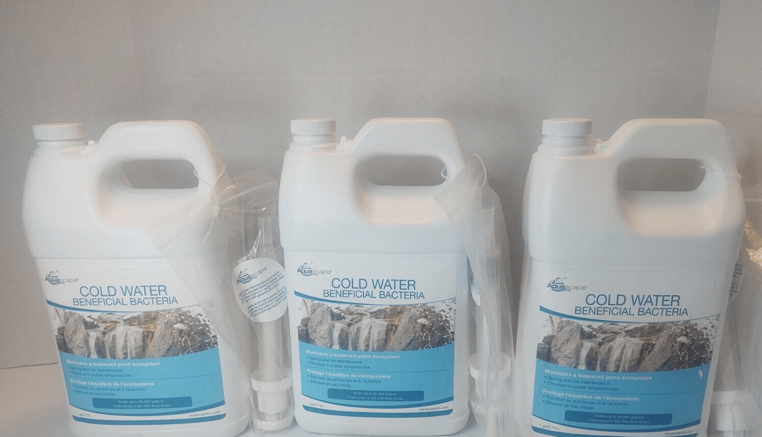 Aquascape Pond Cold Water Beneficial Bacteria 1 Gallon, 96021