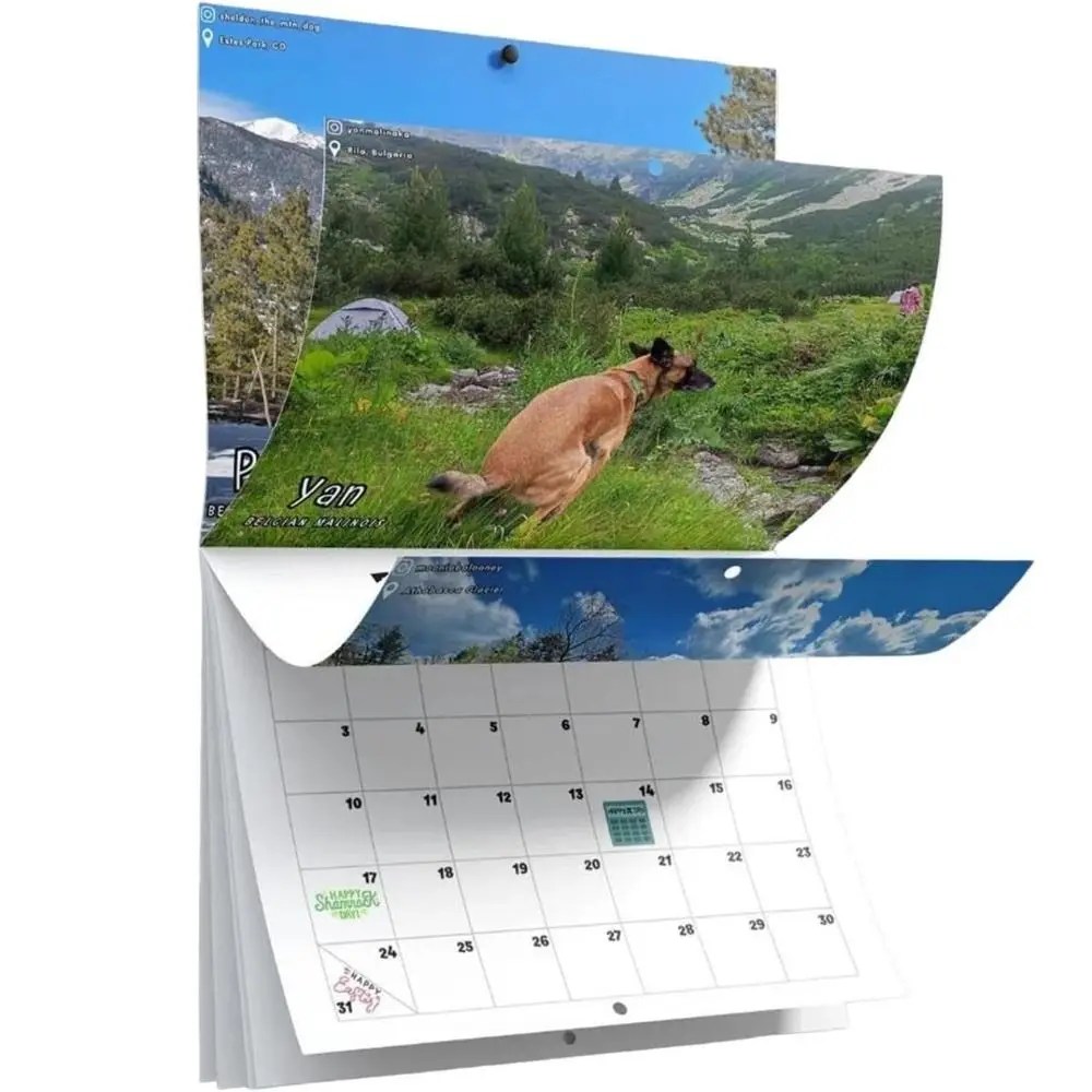 2024 Pooping köpekler takvim komik duvar takvimi yeni yıl hediyeleri yaratıcı zaman planlaması asılı takvim ev dekorasyon için