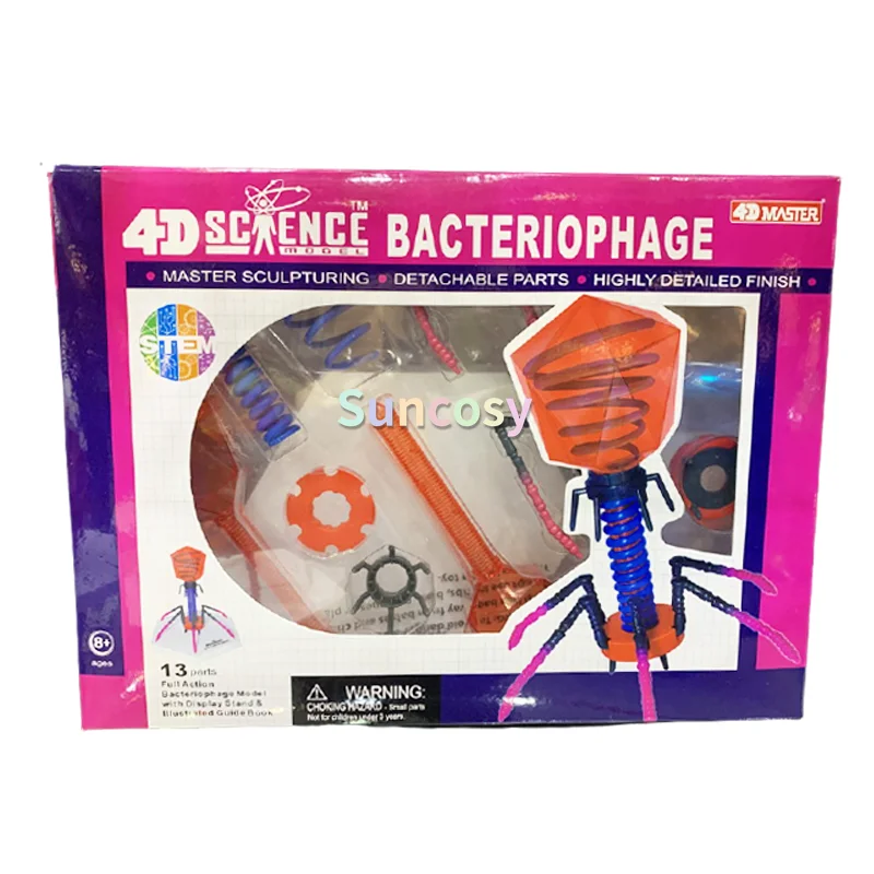 Bacteriophage virüs anatomisi modeli bulmaca Prototios ayrılabilir DIY oyuncak eğitim ekipmanları ile manuel, biyoloji öğretim