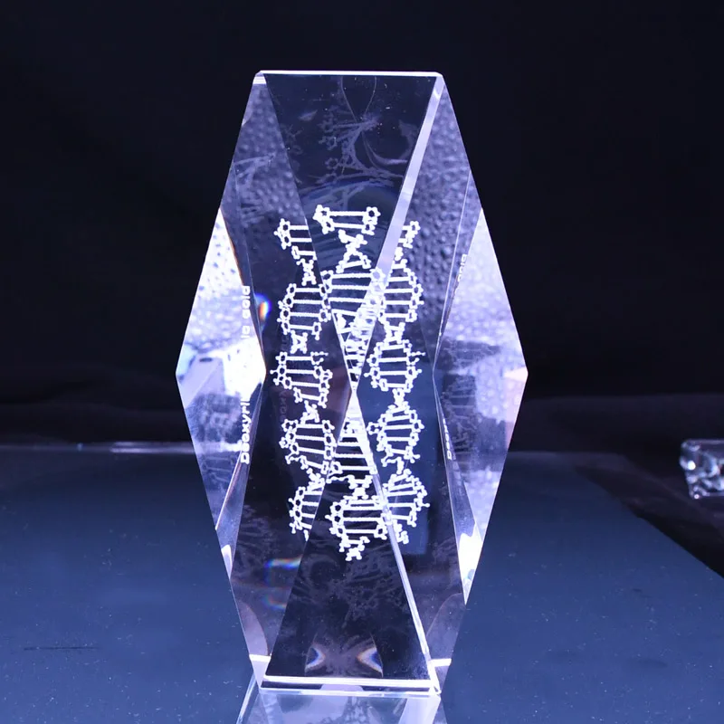 DNA çift sarmal kristal modeli deoksiribonükleik asit genetik ve biyolojik virüs öğretim gösteri modeli