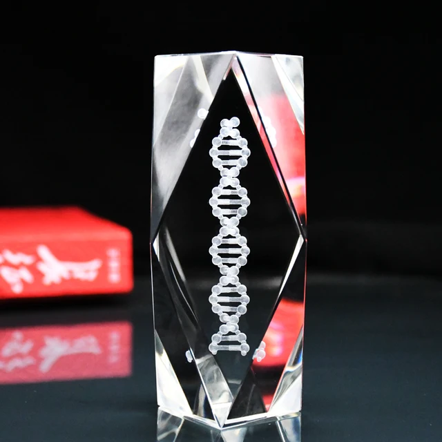 DNA çift sarmal kristal modeli deoksiribonükleik asit genetik ve biyolojik virüs öğretim gösteri modeli