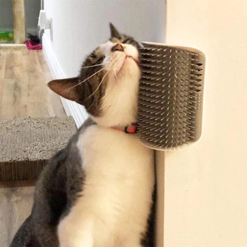 Evcil hayvan fırçası tarak oyna kedi oyuncak yumuşak kedi kendini Groomer masaj tarak ile Catnip kedi yüz Scratcher yavru yavru kedi aksesuarları için