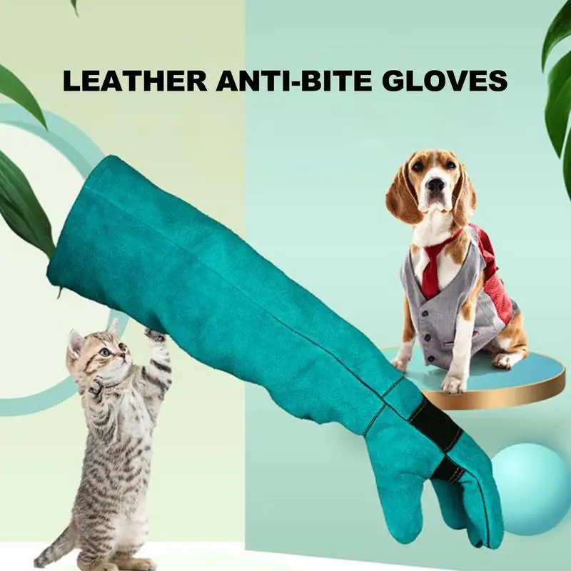 Hayvan taşıma eldiven Anti-Scratch koruyucu eldivenler eğitim evcil için çok fonksiyonlu kesme geçirmez ve anti-diken Pet