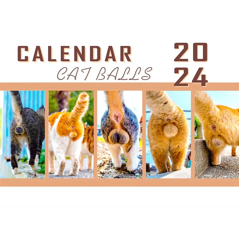 Kedi izmaritleri için 2024 kedi severler komik kediler takvim, yavru popo takvim 2024 aylık duvar asılı takvimler sevimli komik köpek cins - Görsel 6