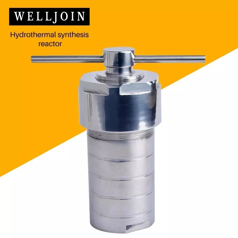 PTFE odası hidrotermal sentez 50ml ile gemi su ısıtıcısı hidrotermal otoklav reaktörü