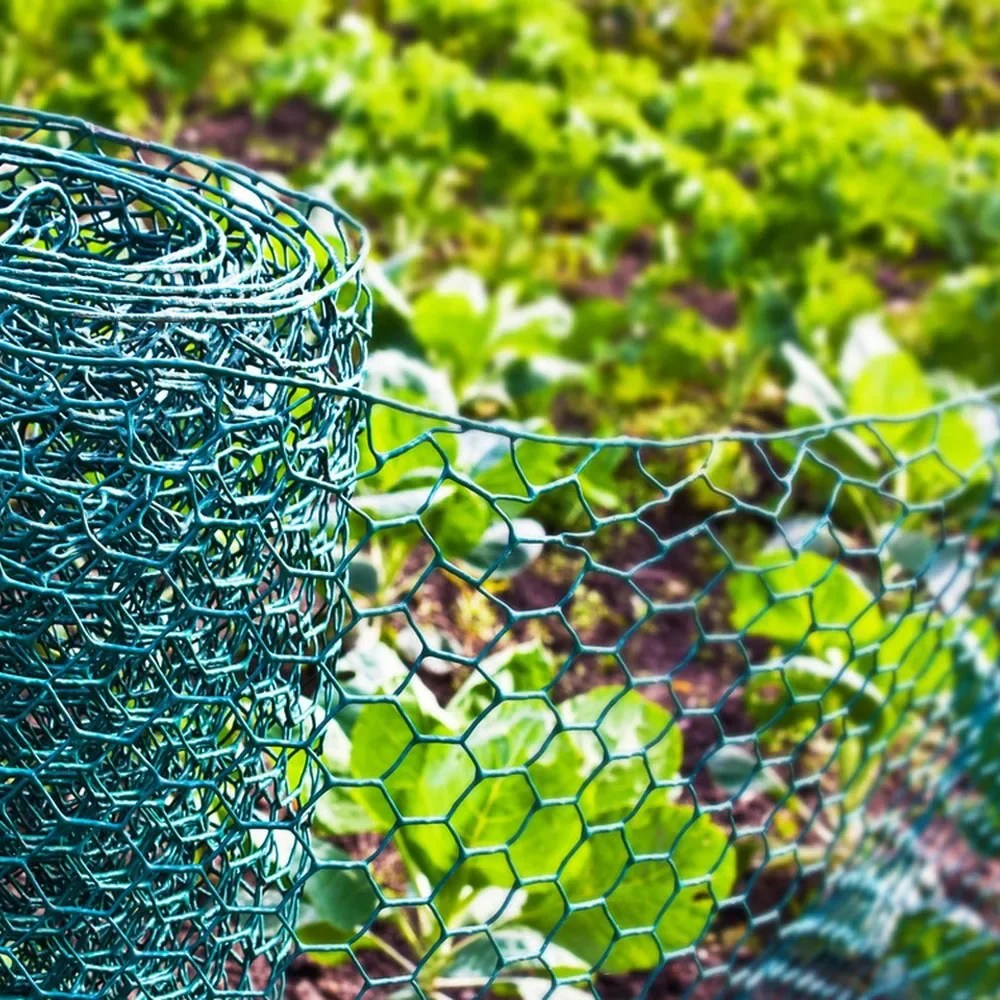 Yeşil çiçek tel kümes örgüsü 400CM tavuk tel altıgen kanatlı bahçe için galvanizli PVC kaplı tavuk tel örgü çit - Görsel 4