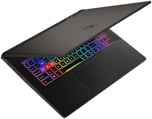 MSI Sword 17 HX, oyun dizüstü bilgisayarı, 43,2 cm (17,0 inç) QHD+, Intel Core i7 işlemci 14700HX, 16 GB DDR5 RAM, 1 TB SSD, NVIDIA® GeForce RTX™ 4060, Windows 11 Home, QWERTZ klavye, siyah, - Görsel 6