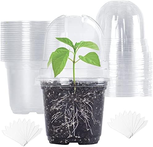 TSKDKIT 20 adet nem kubbeli yetiştirme saksısı, bitki saksısı, çap 10 cm, yuvarlak, çiçek saksıları, orkide saksısı, şeffaf plastik, sukulentler, tohumlar, fideler için