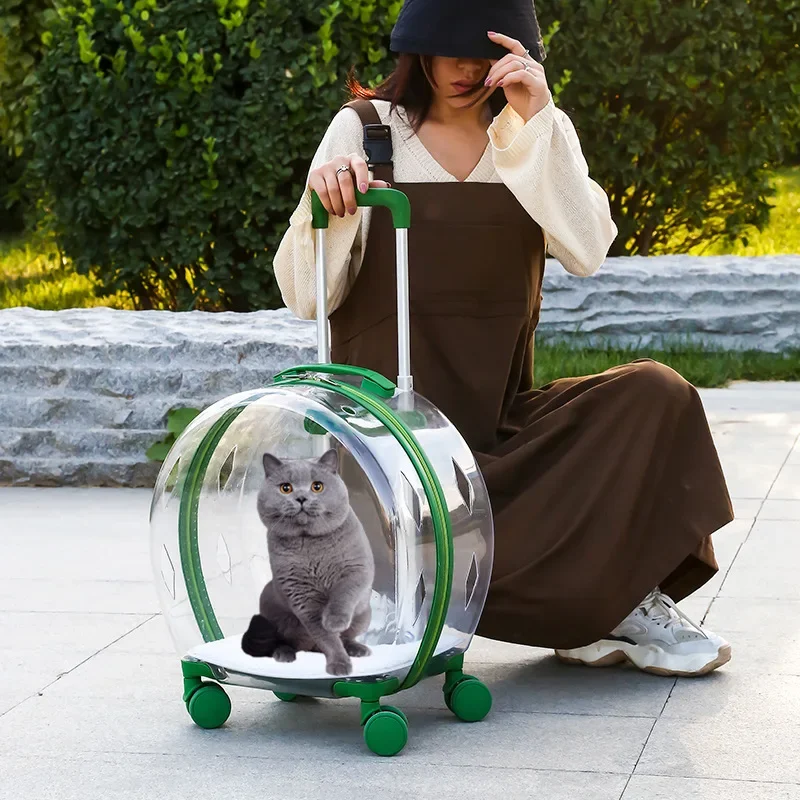 Arabası bavul taşıyıcı şeffaf Pet taşıma çantası kediler taşıma ve tekerlekler Pet ürünleri ile Strollers kedi kafesi konveyörler