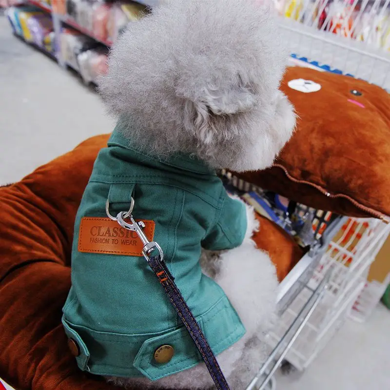 Bahar köpek takım elbise kıyafetler Denim ceket giysileri ile D tasma yüzük küçük orta köpekler Puppies için Pet renk Jean küçük köpek kostüm