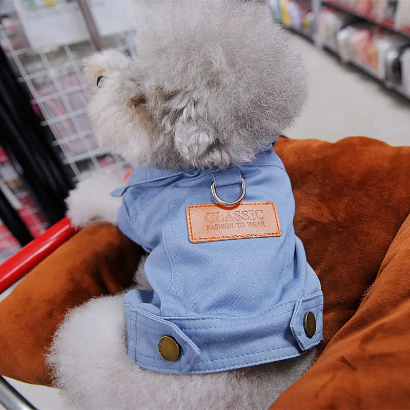 Bahar köpek takım elbise kıyafetler Denim ceket giysileri ile D tasma yüzük küçük orta köpekler Puppies için Pet renk Jean küçük köpek kostüm