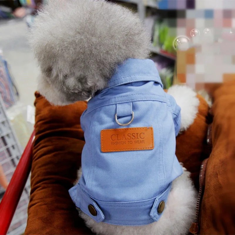 Bahar köpek takım elbise kıyafetler Denim ceket giysileri ile D tasma yüzük küçük orta köpekler Puppies için Pet renk Jean küçük köpek kostüm - Görsel 6