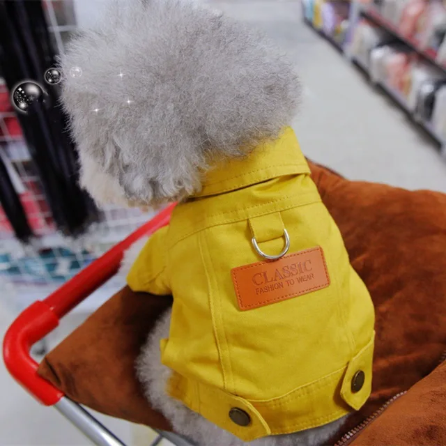Bahar köpek takım elbise kıyafetler Denim ceket giysileri ile D tasma yüzük küçük orta köpekler Puppies için Pet renk Jean küçük köpek kostüm