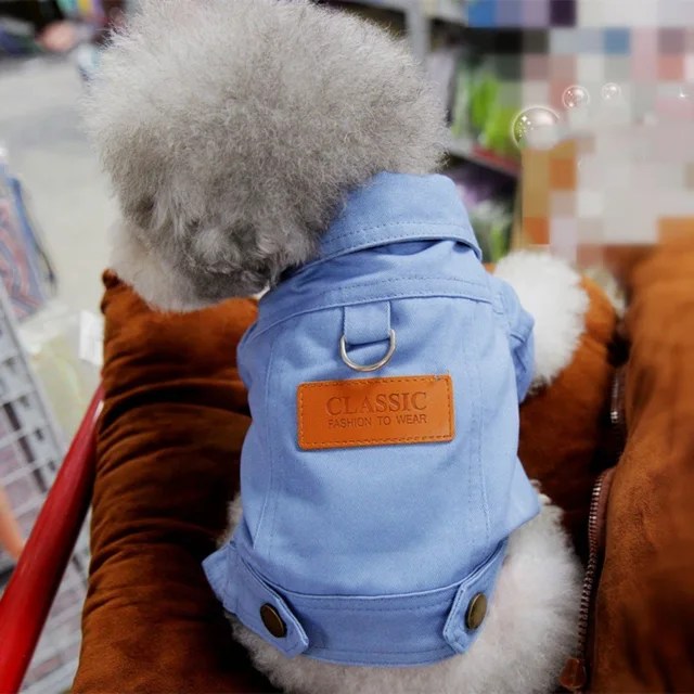 Bahar köpek takım elbise kıyafetler Denim ceket giysileri ile D tasma yüzük küçük orta köpekler Puppies için Pet renk Jean küçük köpek kostüm - Görsel 16