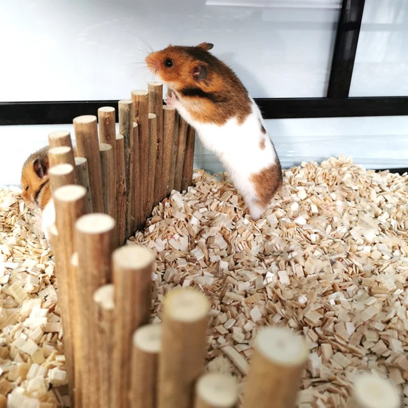 Hamster ahşap çit Pet sıçan oynayan merdiven köprü oyuncak profesyonel çiğnemek oyuncak ahşap sopa dallar temizleme dişleri için küçük hayvanlar