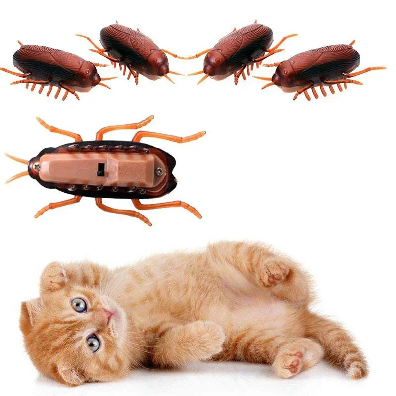 Kediler için 1 adet komik elektronik Pet interaktif oyun oyuncak Eletric koşu hamamböceği Pet köpek kedi interaktif oyuncak akülü