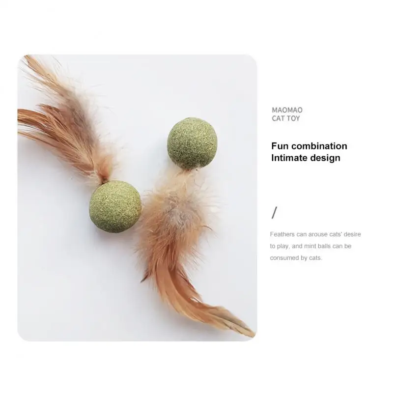 Pet Catnip oyuncaklar yenilebilir Catnip topu emniyet sağlıklı kedi nane kediler ev kovalayan oyunu oyuncak ürünleri temiz dişler kedi nane topu
