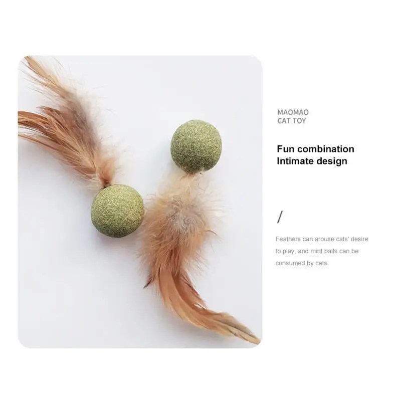 Pet Catnip oyuncaklar yenilebilir Catnip topu emniyet sağlıklı kedi nane kediler ev kovalayan oyunu oyuncak ürünleri temiz dişler kedi nane topu - Görsel 3