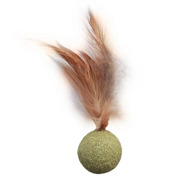 Pet Catnip oyuncaklar yenilebilir Catnip topu emniyet sağlıklı kedi nane kediler ev kovalayan oyunu oyuncak ürünleri temiz dişler kedi nane topu