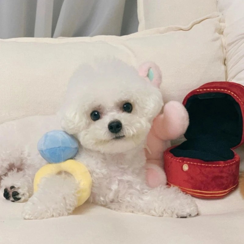 Pet Köpek Oyuncak Ekstra sert Doldurulmuş Nişan Yüzüğü Oyuncak Komik Interaktif Köpek Çiğneme Oyuncak Köpek Diş Temizleme Aracı - Görsel 3