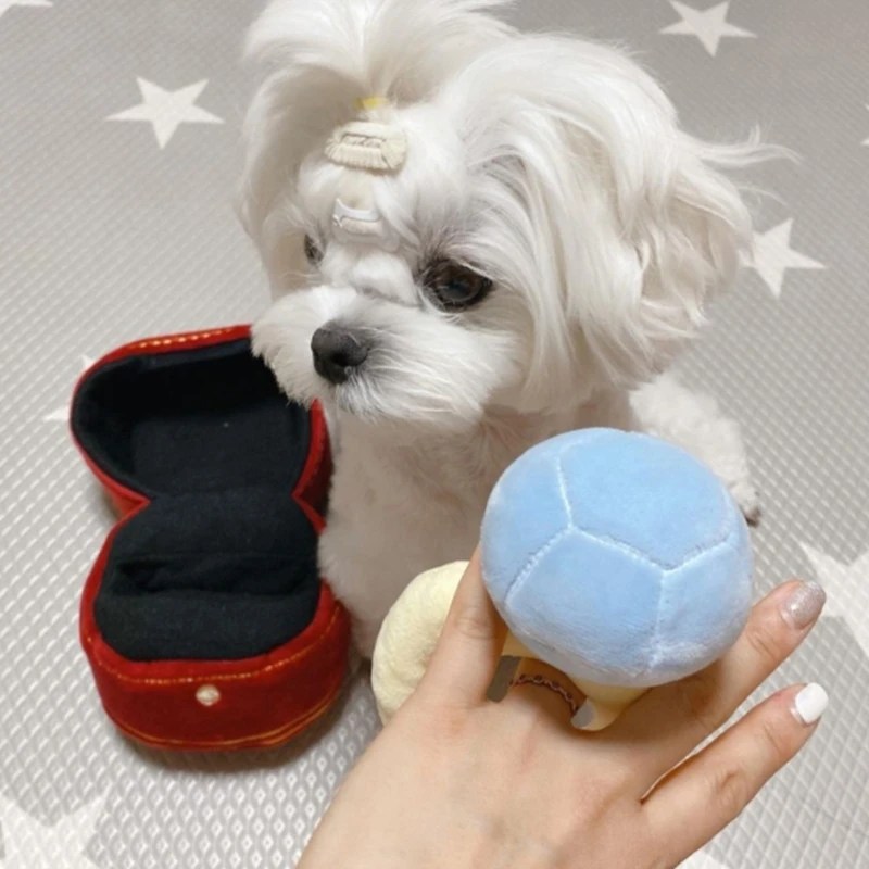 Pet Köpek Oyuncak Ekstra sert Doldurulmuş Nişan Yüzüğü Oyuncak Komik Interaktif Köpek Çiğneme Oyuncak Köpek Diş Temizleme Aracı - Görsel 5