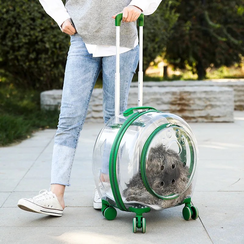 Pet tekerlekli çanta taşınabilir kedi gezi seyahat çantası şeffaf büyük kapasiteli kapsül kedi sırt çantası taşıyıcı toptan
