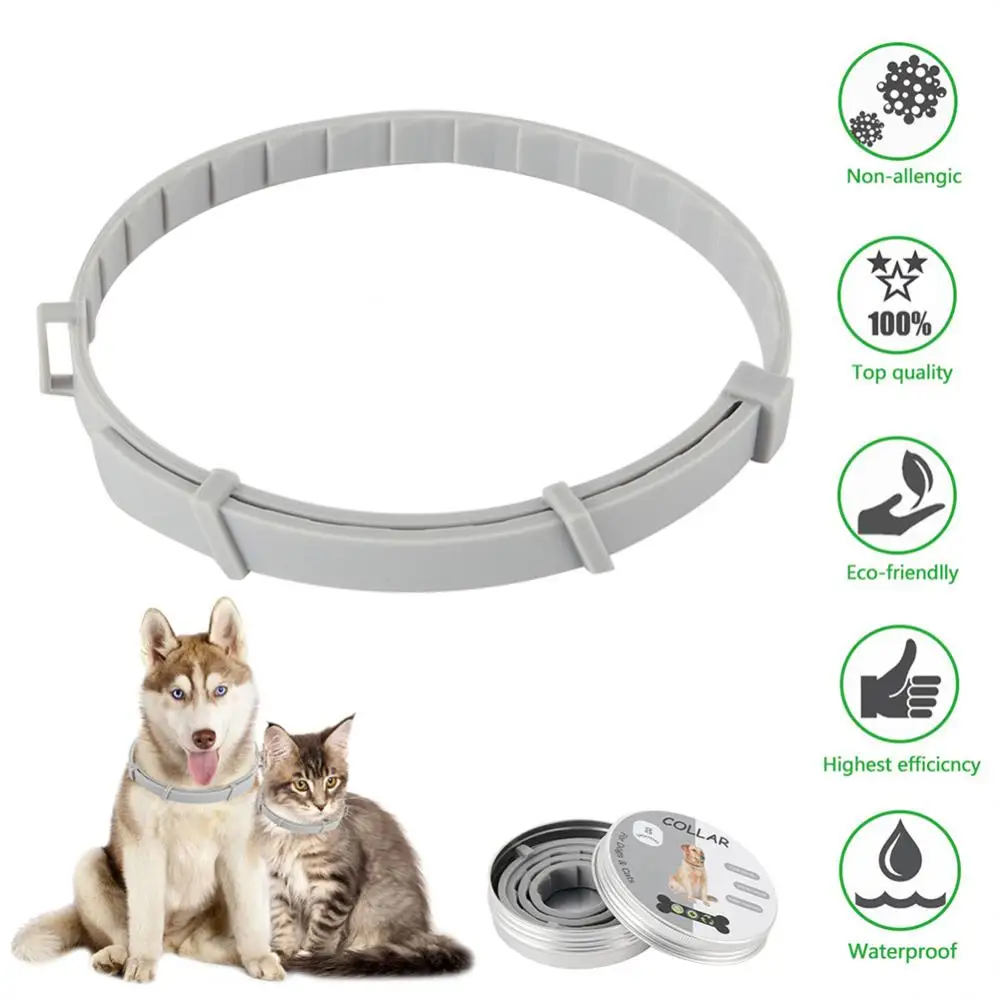 Pire önleme kullanımı kolay ayarlanabilir uzunluk dayanıklı üst satış güvenilir Trendy Pet pire ve kene önleme parazit kontrolü