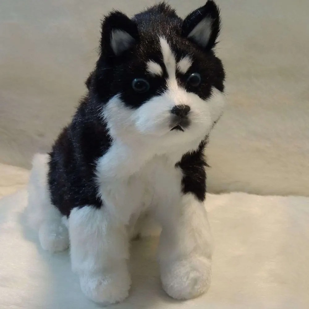 Simülasyon Husky peluş oyuncak sallanan kafa kuyruk sevimli yavru ışık kontrolü elektrik arkadaşı yavru Pet dekorasyon interaktif oyuncak