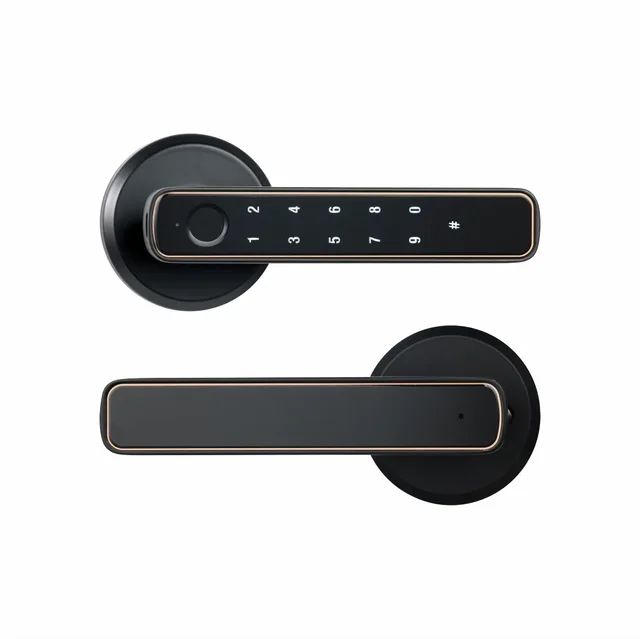 Tuya Bluetooth akıllı parmak izi kapı kilit şifre ile mekanik anahtar anahtarcı için ahşap kapı tek kolu Smartlife M4 - Görsel 7