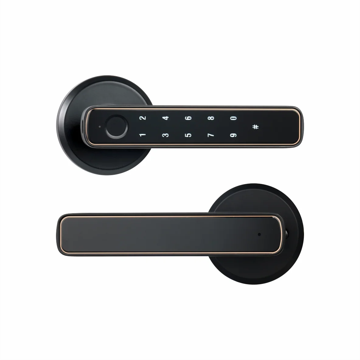 Tuya Bluetooth akıllı parmak izi kapı kilit şifre ile mekanik anahtar anahtarcı için ahşap kapı tek kolu Smartlife M4 - Görsel 1